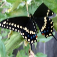 Profile Picture of Janet Reynolds (@janet-reynolds-23) on Quora