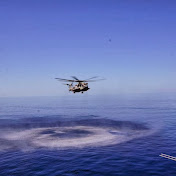 Profile Picture of Eli Freeman (@elifreeman6304) on Youtube