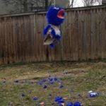 Profile Picture of Alex Blau (@alexblau1999) on Instagram