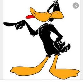 Profile Picture of Rosalio Flores Arand (@flores_arand) on Twitter