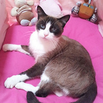 Profile Picture of Stefano Bignardi (@stefano.bignardi) on Flickr