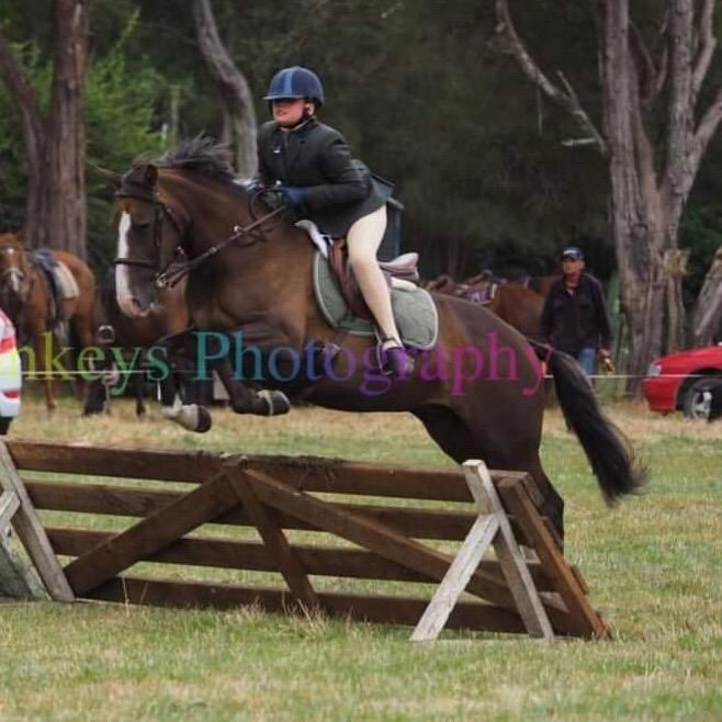 Profile Picture of Amelia Hogan (@melis_horses) on Tiktok