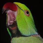 Profile Picture of David Tipping (@tipping799) on Instagram