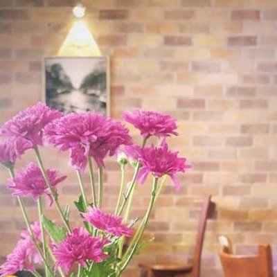 Profile Picture of Maziar Yazdani (@Maziaryazdani1) on Twitter