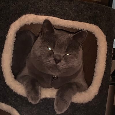 Profile Picture of Lois Barnes (@loisbar78877608) on Twitter