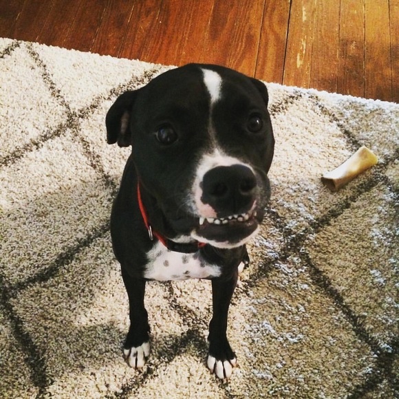 Profile Picture of Sue Youngerman (@susany1040) on Poshmark