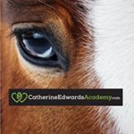 Profile Picture of Catherine Edwards (@catherine_edwards_academy) on Instagram