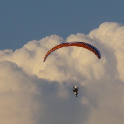 Profile Picture of Robert T. Swezey (@RT_Swezey) on Twitter