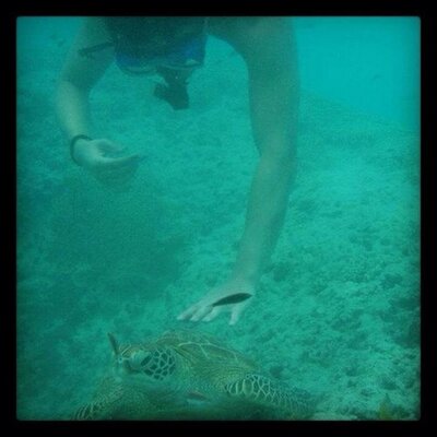 Profile Picture of Phillip Wu (@Phil86Blah) on Twitter