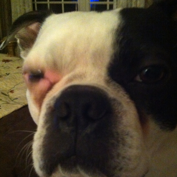 Profile Picture of Dorothy Parker (@dorothyparker) on Poshmark