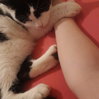 J Force J Force - Facebook Profile Picture of J Force J Force (@jforce.jforce.984) on Facebook