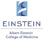 Profile Picture of Albert Einstein College of Medicine (@@EinsteinCollegeofMed) on Tiktok