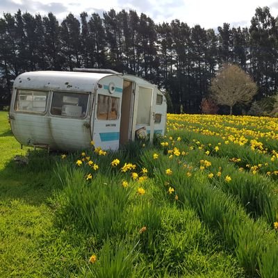 Profile Picture of Lee (@LeeKindler) on Twitter