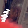 Profile Picture of Deanna Wilkinson 💝 (@@deannarosewilkinson24) on Tiktok