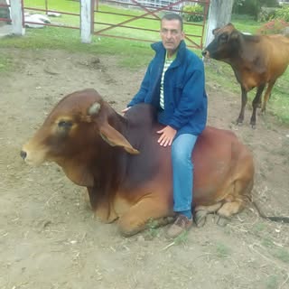 Profile Picture of Hernando Hoyos (@hernando_hoyos) on Instagram