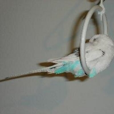 Profile Picture of John Quach (@Johnq1216) on Twitter