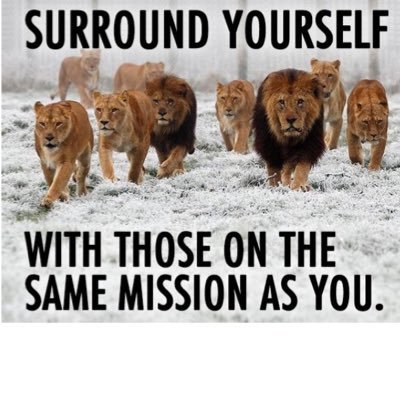 Profile Picture of Charles Marley (@marleynomics) on Twitter