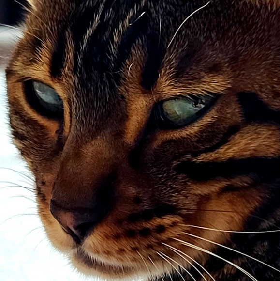 Profile Picture of Yuliya Yuliya (@yuliya__21) on Poshmark