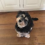 Profile Picture of Chris Matthews (@greenleyroad) on Instagram