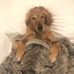 Profile Picture of Quinn Lundgren (@lundgrenquinn) on Instagram