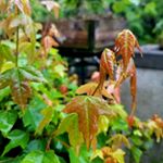 Aaron Burke - Instagram Profile Picture of Aaron Burke (@aaron.burke.3194) on Instagram