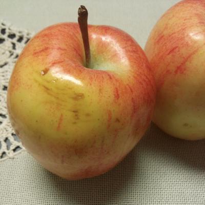 Profile Picture of Amanda Bunting (@behealthy_4life) on Twitter