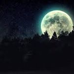 Profile Picture of juan camilo sandoval (@camilo_sandoval_cabrera) on Instagram