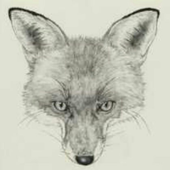 Profile Picture of Aaron Sorilla (@folkfox) on Poshmark