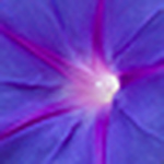 Profile Picture of Nigelhope_nairn (@nigelhope_nairn) on Flickr