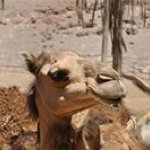 Profile Picture of Danny Sword (@swordmcs) on Instagram