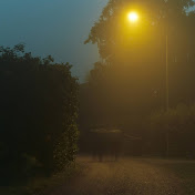 Profile Picture of Gary Kong (@garykong6098) on Youtube