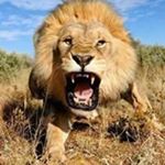 Profile Picture of Bashir Khalil (@bashirkhalil786) on Instagram