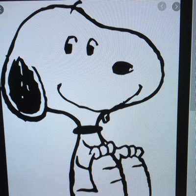 Profile Picture of Ellen M. Sturgeon (@EllenMSturgeon1) on Twitter