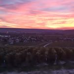 Profile Picture of Benjamin Vitrac (@champagnejacquesson) on Instagram