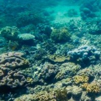 Profile Picture of Eloisa Vargas (@eloisa-vargas-3) on Quora