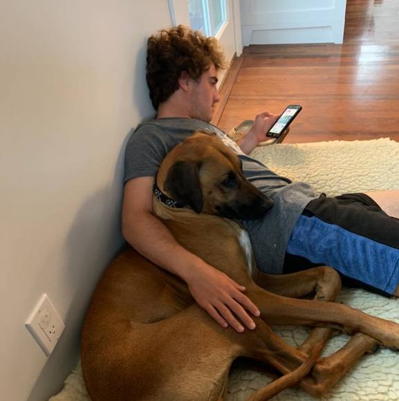 Profile Picture of Danielle Marone (@d_marone) on Poshmark