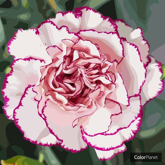 Profile Picture of Corinne Wilson (@cmwilson1952) on Poshmark