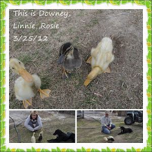 Shirley Briggs - Tiktok Profile Picture of Shirley Briggs (@shirleybriggs18) on Tiktok