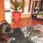 Mandy Callaghan - Facebook Profile Picture of Mandy Callaghan (@mandy.callaghan.332) on Facebook