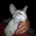Profile Picture of David Petty (@david.petty.1048) on Facebook