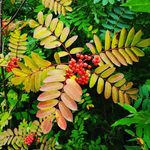 Profile Picture of Kim Veal-Wood (@kimvealwood) on Instagram