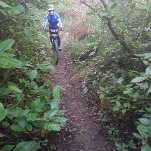 Profile Picture of GEMMA VALLS SALA (@GEMMAVALLSSALA1) on Twitter