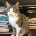 Profile Picture of Annette photos (@photosannette) on Instagram