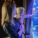 Profile Picture of Sandra Achilles (@sandra.achilles) on Instagram