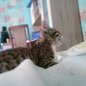 Profile Picture of Vadim Tatarchenko (@vadimtatarchenko9444) on Youtube