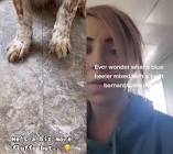 Profile Picture of   Marie-Helene Comeau... (@mh.comeau) on Tiktok