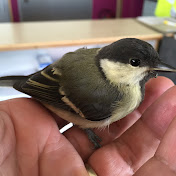 Profile Picture of Jean Hoffmann (@jeanhoffmann6253) on Youtube