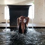 Profile Picture of JUSTINE FOURNET (@justine_fournet) on Instagram