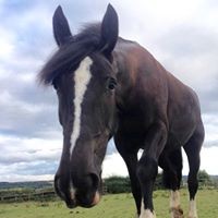 Profile Picture of Gillian Callaghan (@gillian-callaghan) on Quora