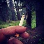 Profile Picture of s(@)n(ð)y (@hacker_sandy_) on Instagram